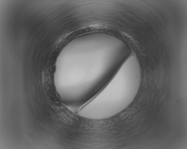 X0000054360776200507290804
