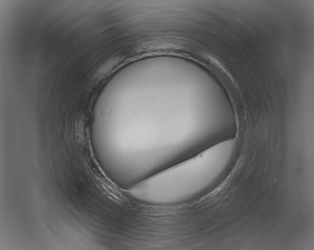 X0000054360777200507290804