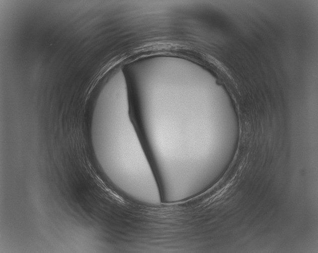 X0000054360778200507290804