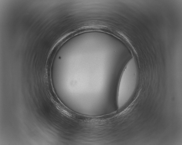 X0000054360779200507290804