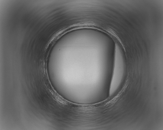 X0000054360781200507290804