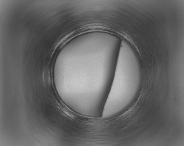 X0000054360782200507290804