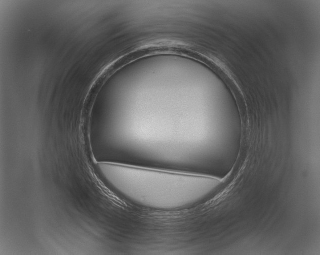 X0000054360783200507290804