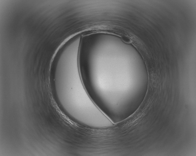 X0000054360784200507290804