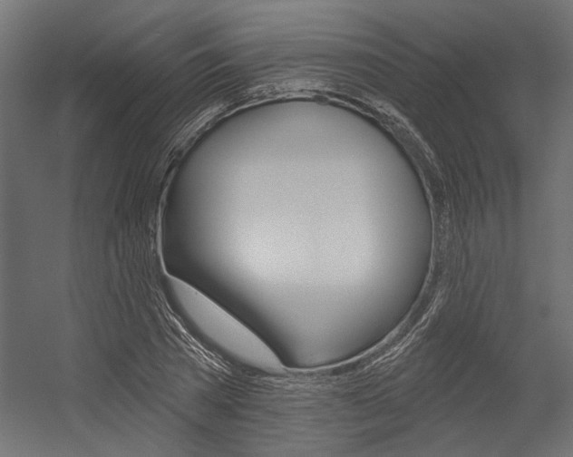 X0000054360785200507290804