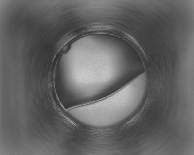 X0000054360786200507290804