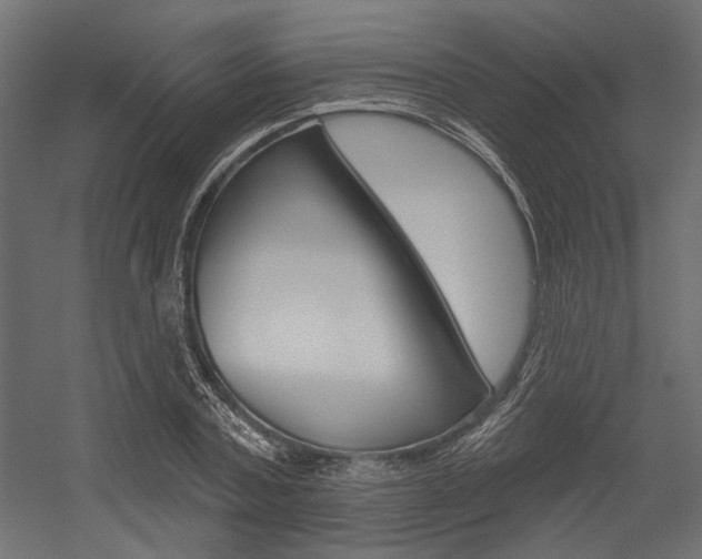 X0000054360787200507290804