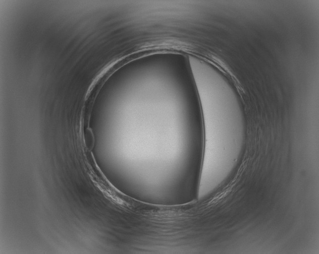 X0000054360788200507290803