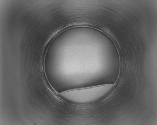 X0000054360789200507290803