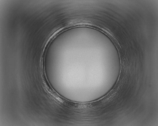 X0000054360790200507290803