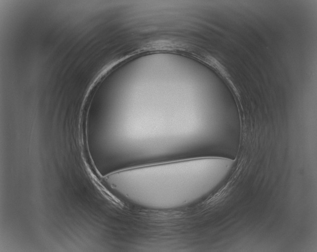 X0000054360795200507290803