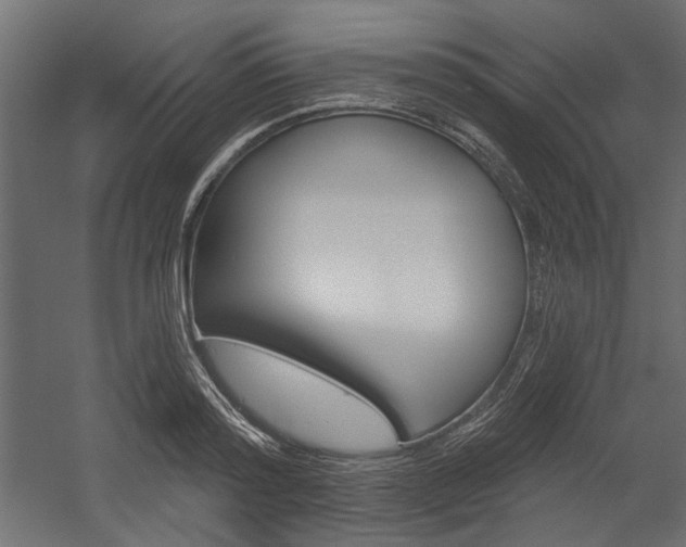 X0000054360796200507290803