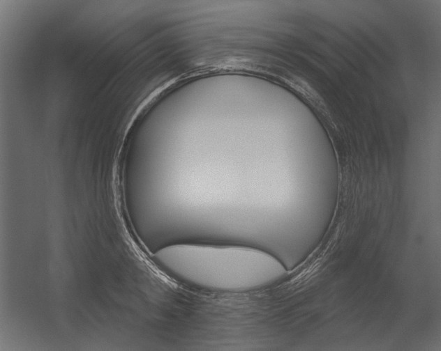X0000054360798200507290803