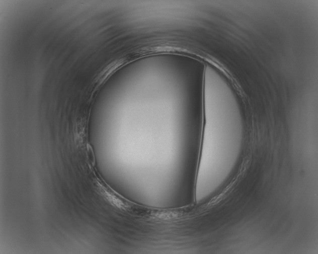 X0000054360801200507290803