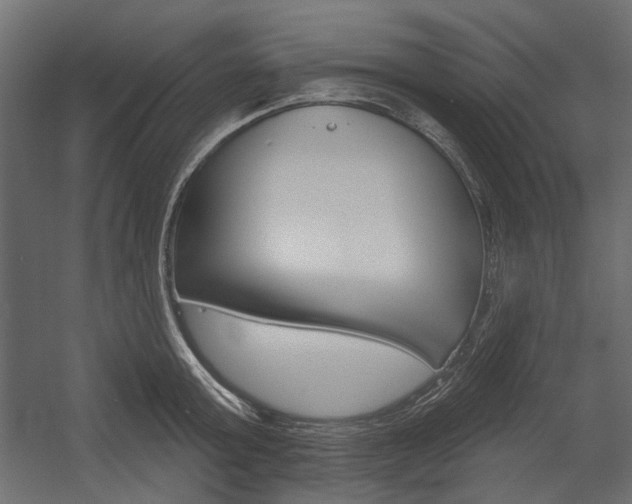 X0000054360803200507290803