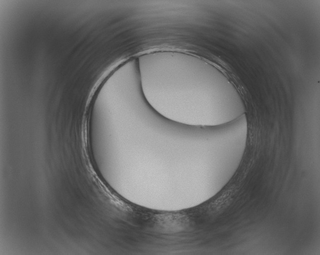 X0000054360804200507290803