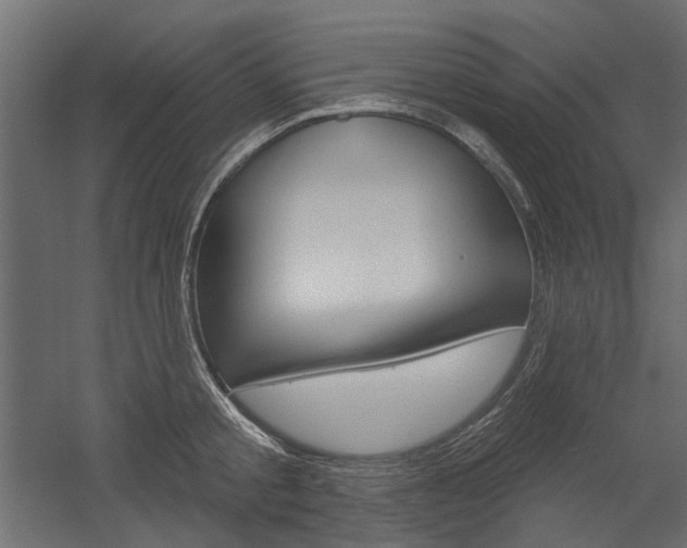 X0000054360805200507290803