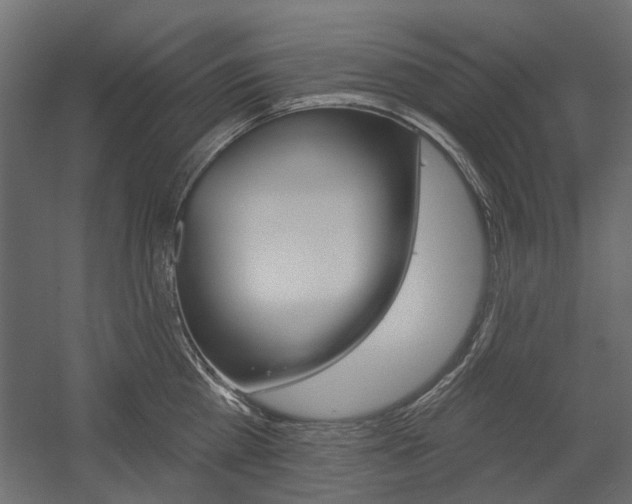 X0000054360809200507290803