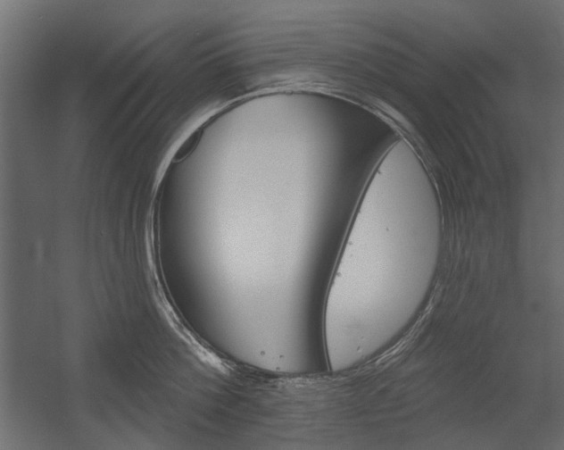 X0000054360812200507290803
