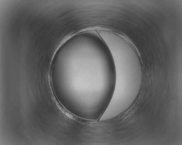 X0000054360813200507290803