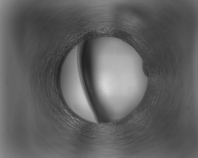 X0000054360817200507290802