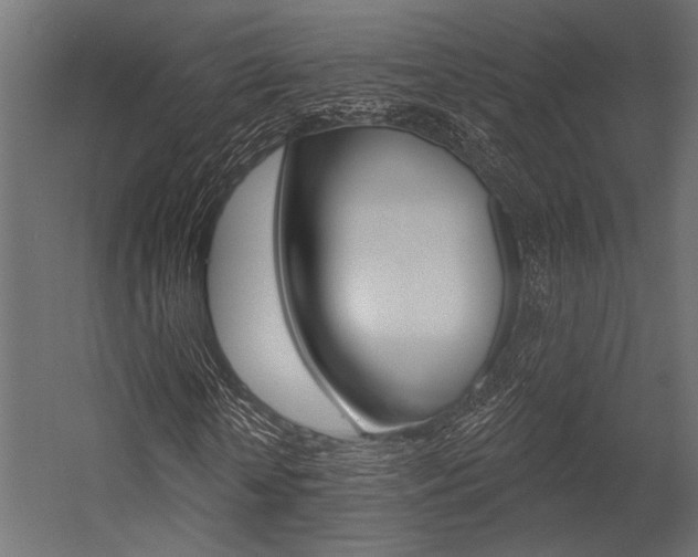 X0000054360818200507290802