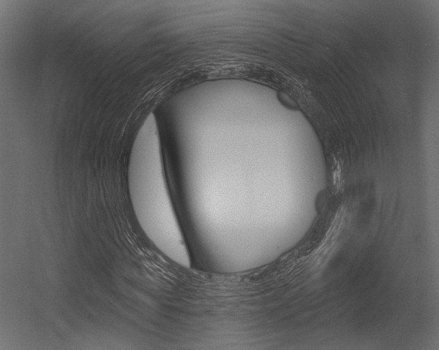 X0000054360819200507290802