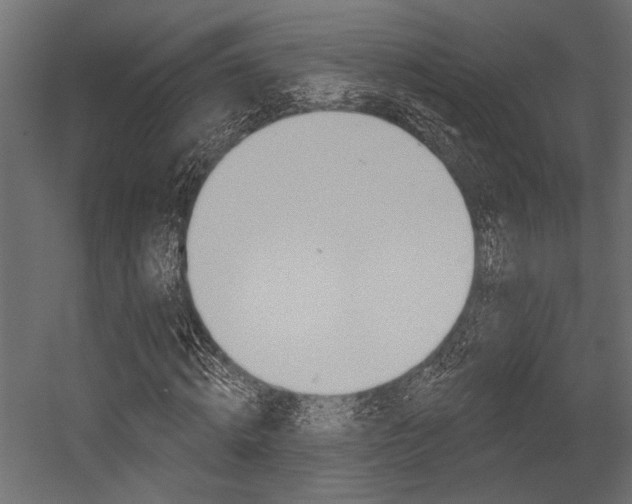 X0000054360820200507290802