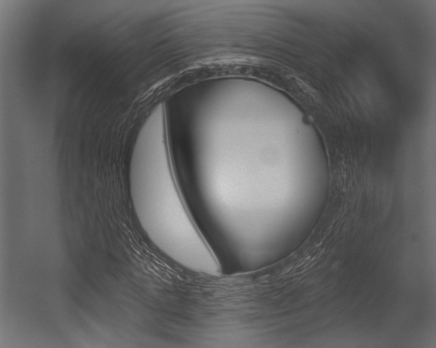 X0000054360821200507290802