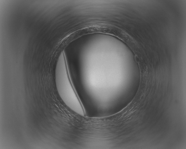 X0000054360822200507290802
