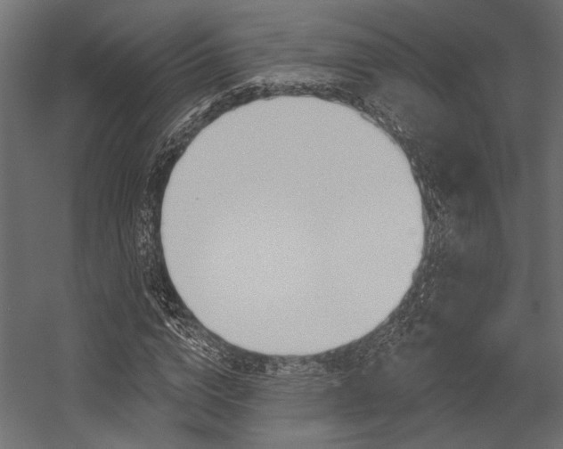 X0000054360824200507290802