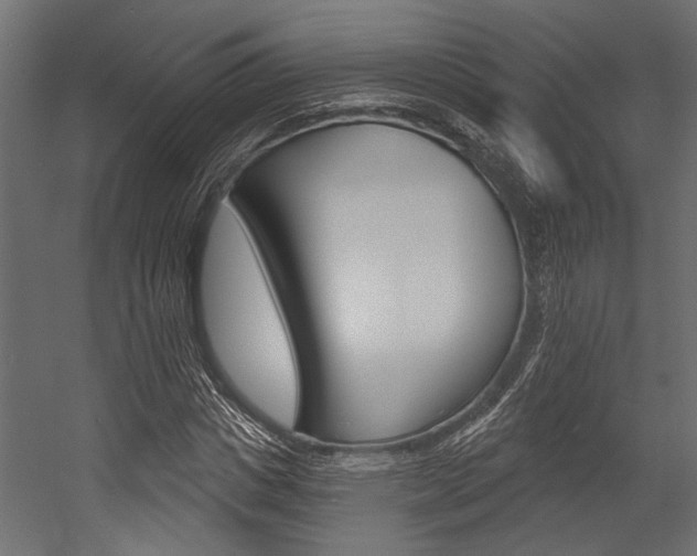 X0000054360825200507290802