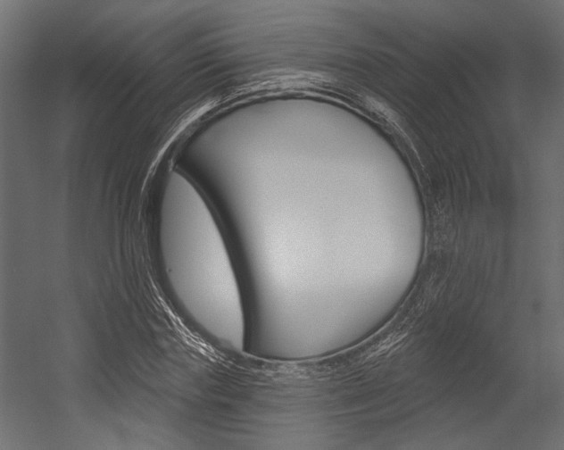 X0000054360827200507290802