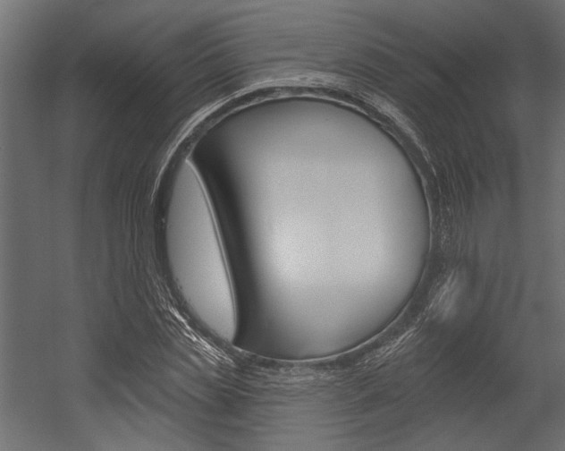 X0000054360829200507290802