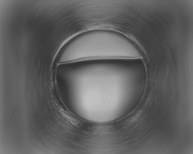 X0000054360830200507290802