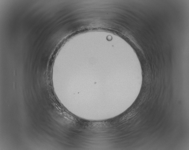 X0000054360832200507290802