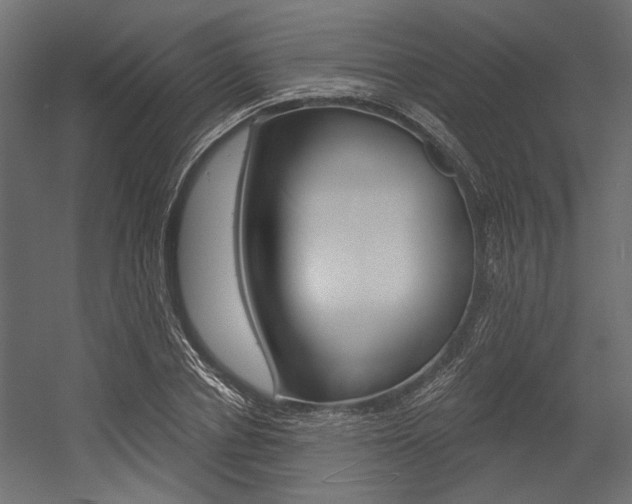 X0000054360834200507290803