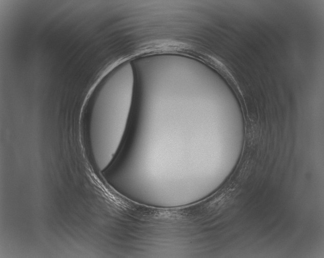 X0000054360835200507290803