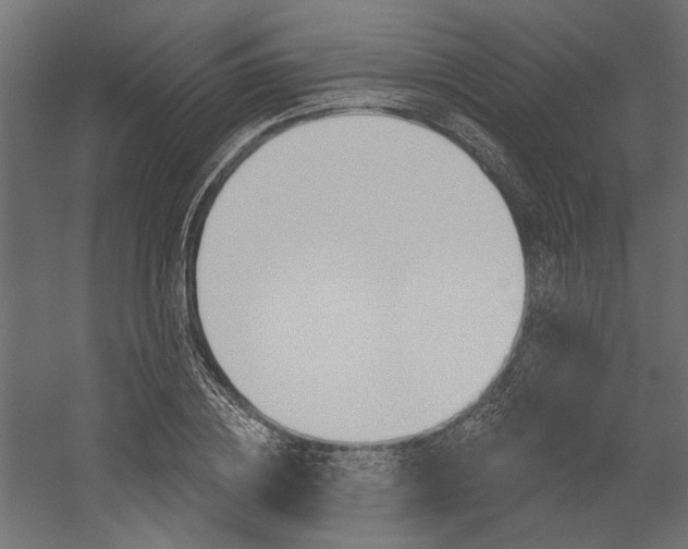 X0000054360836200507290803