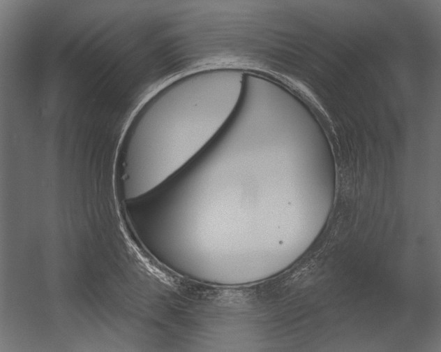 X0000054360839200507290803