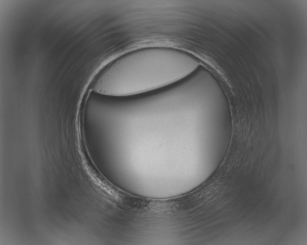 X0000054360840200507290803