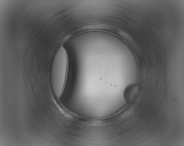 X0000054360841200507290803