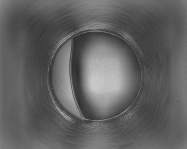 X0000054360842200507290803