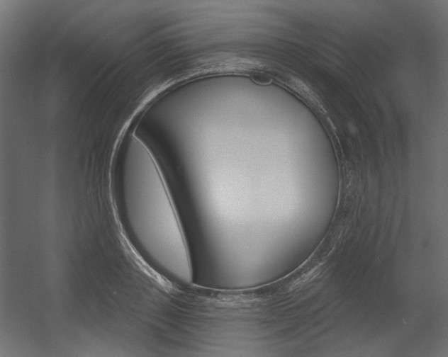 X0000054360843200507290803