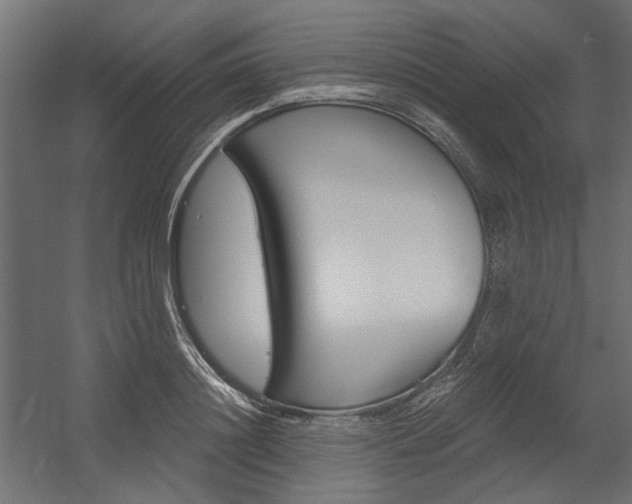 X0000054360844200507290803