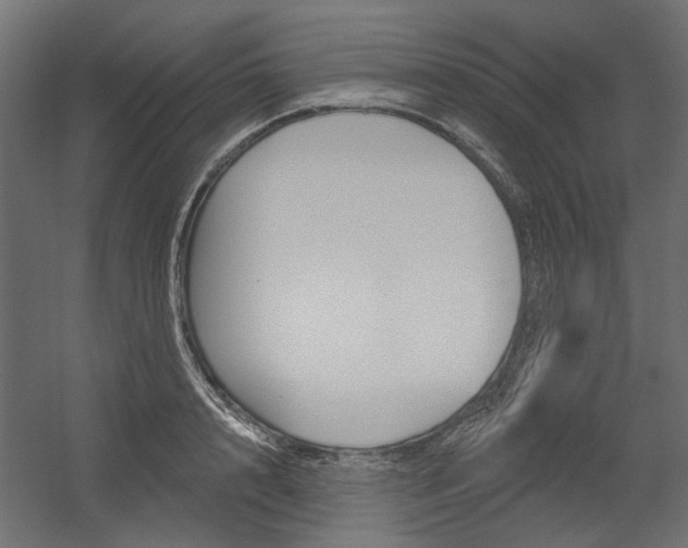 X0000054360848200507290803