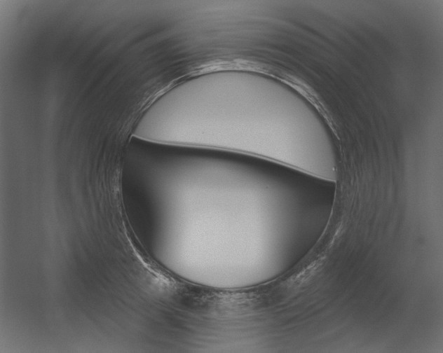 X0000054360849200507290803