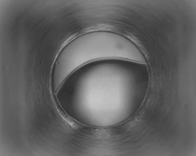 X0000054360850200507290803