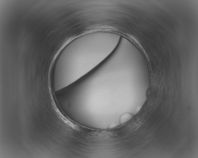X0000054360851200507290803