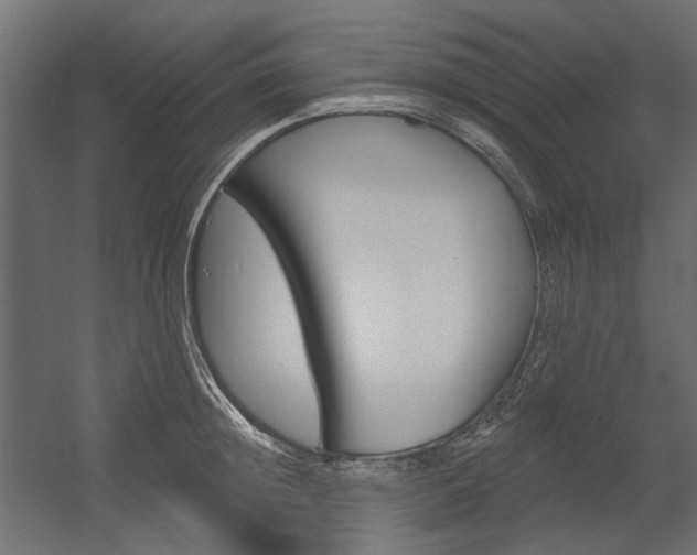 X0000054360852200507290803